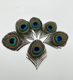 Peacock Feather Headdress