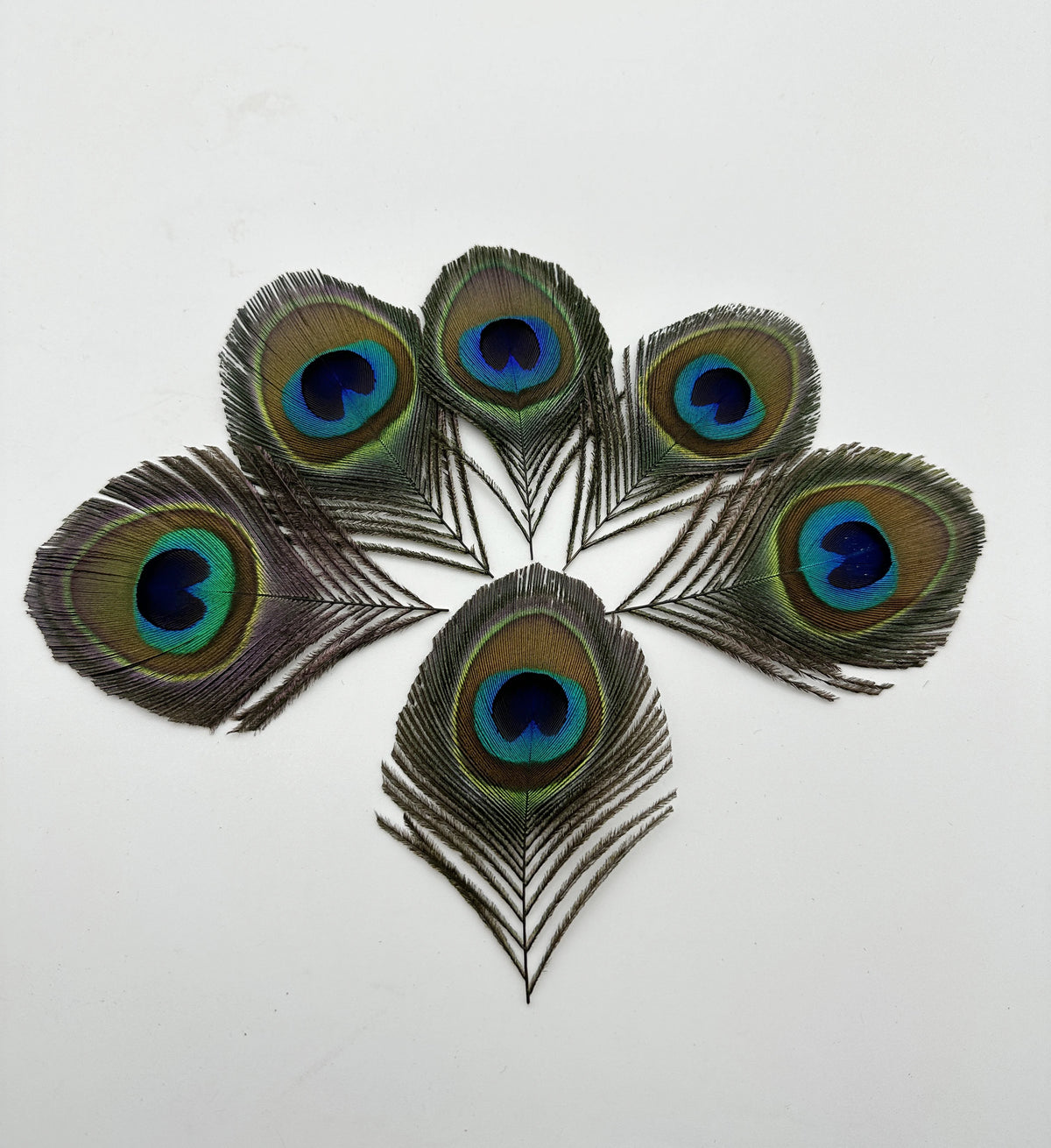 Peacock Feather Headdress
