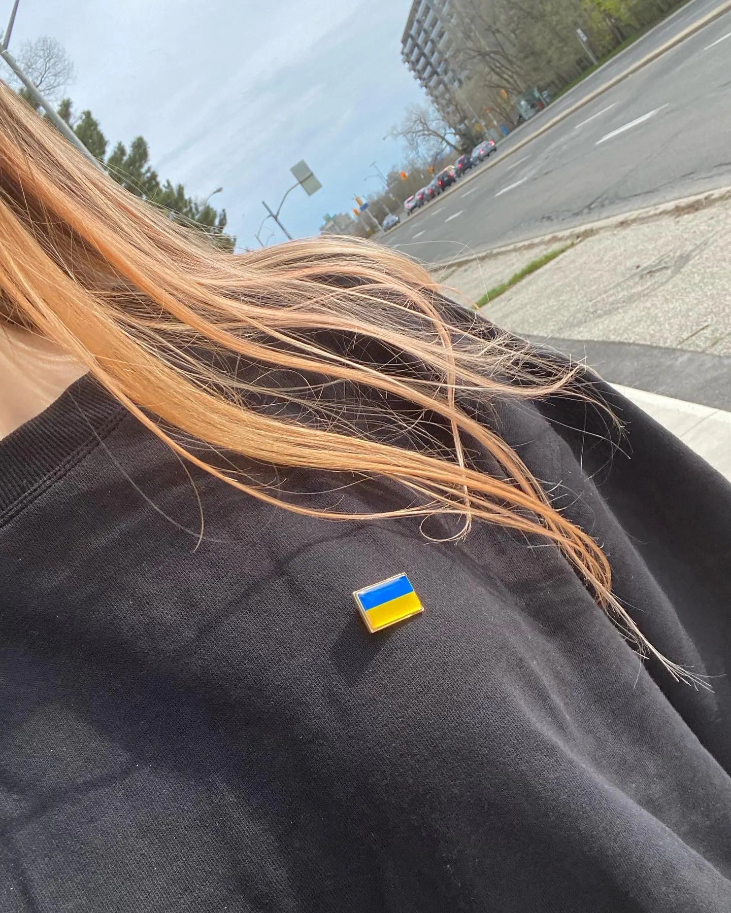 Ukrainian Map Emblem Pins